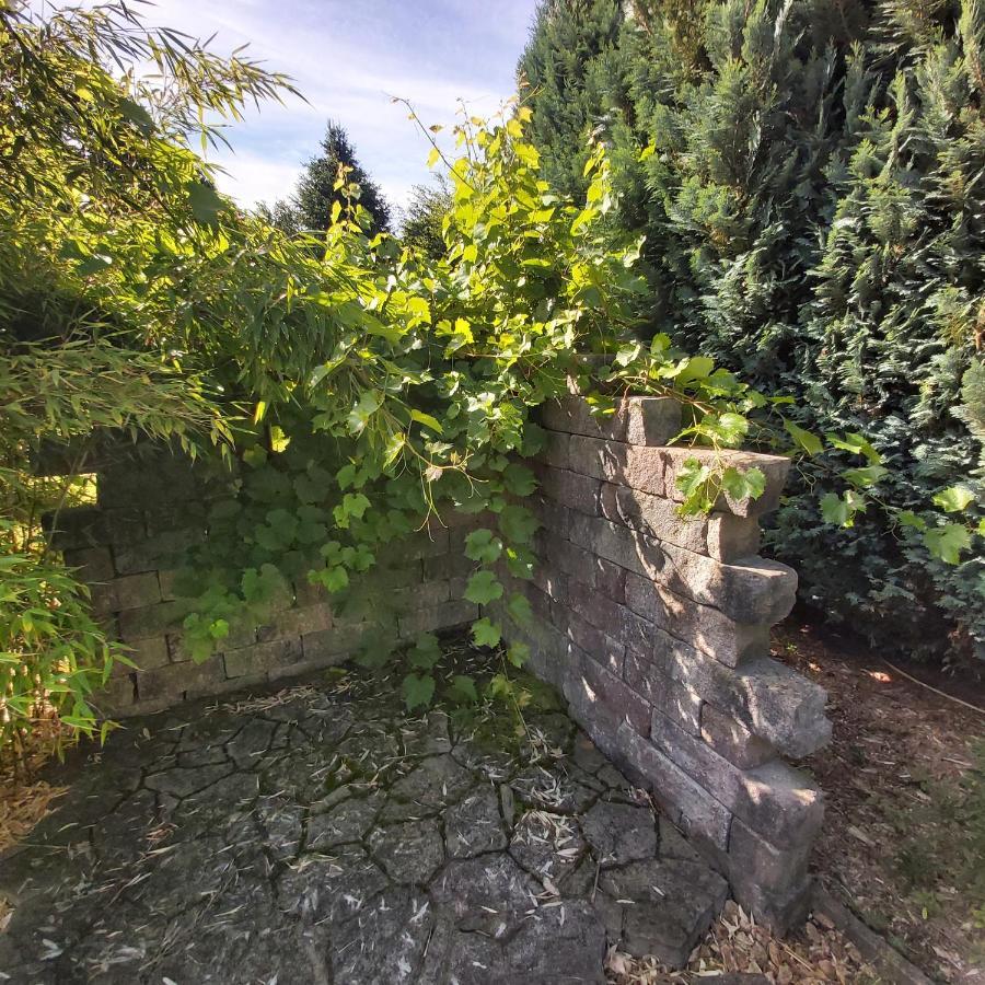 Apartment In Upper Floor In Nature Reserve. Hipstedt Exterior foto